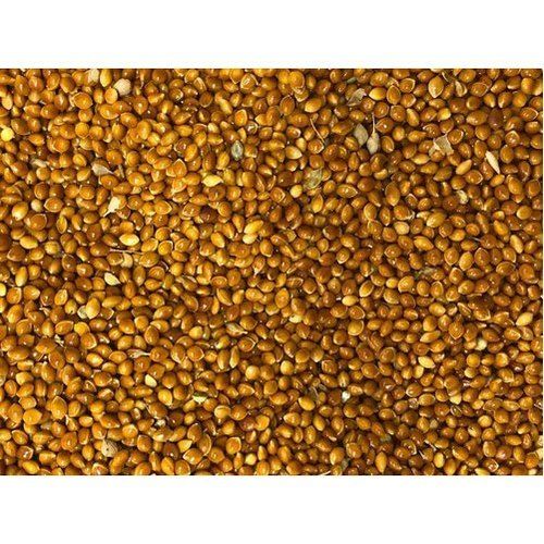 500 Grams Natural Red Millet With High In Protein