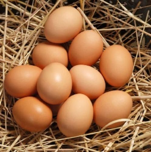 Calcium, Minerals And Vitamin D Enriched Brown Colour Egg Egg Origin: Chicken