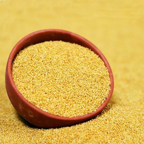 Indian Yellow Organic Foxtail Millet For Cooking, Good Source Of Protein