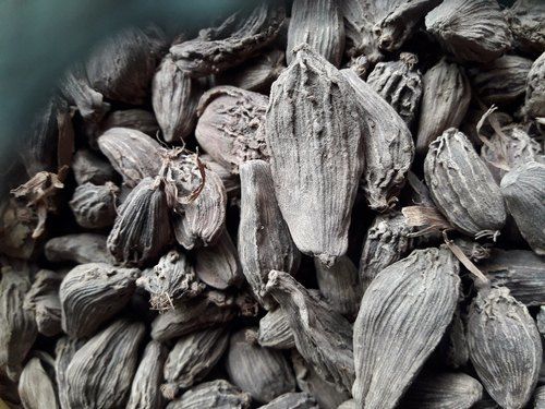 Natural Black Color Cardamom for Food Spices With Rich in Flavor and 6 Months Shelf Life