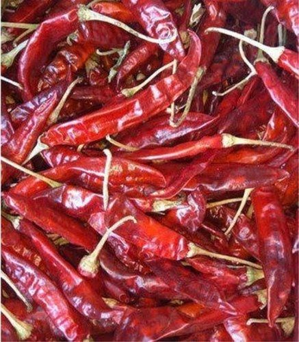 Organic And Spicy Dry Red Chilli For Food Spice With 6 Months Shelf Life Grade: A