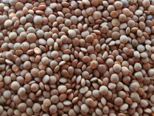 High In Protein Great Source Of Fiber Brown Masoor Dal With Moisture: 3%, Admixture (%): 0.9%