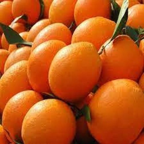 Common Organic Healthy Orange With 3 Days Shelf Life And Rich In Vitamin C, Antioxidants Properties