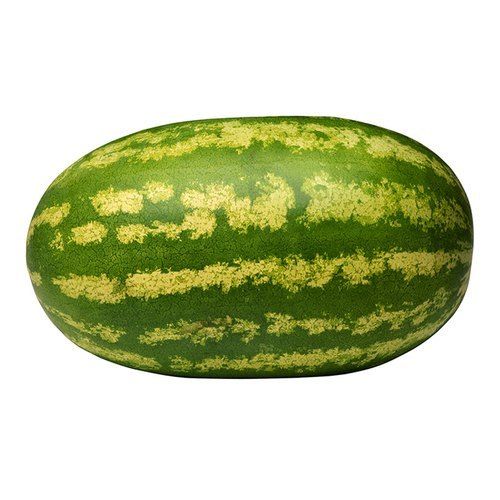 Fresh Farm Green Watermelon With 2-3 Days Shelf Life And rich In Vitamin C And Antioxidants Properties