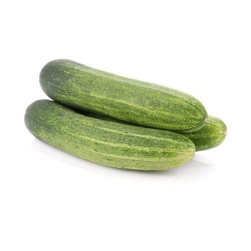 Green Colour Fresh Farm Cucumber With Rich In Dietary Fiber And 2-3 Days Shelf Life