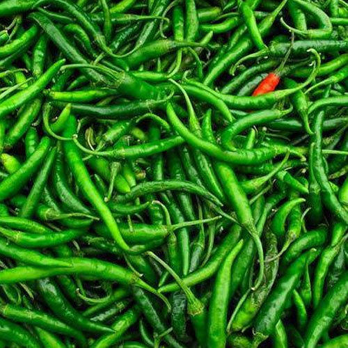 Natural Fresh Green Chilli With 2-3 Days Shelf Life and Vitamin C and Antioxidants Properties