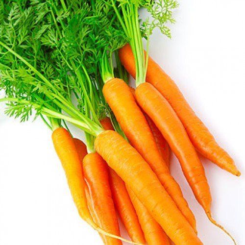 Natural Orange Color Fresh Carrot With 4 Days Shelf Life And Rich In Vitamin A, C