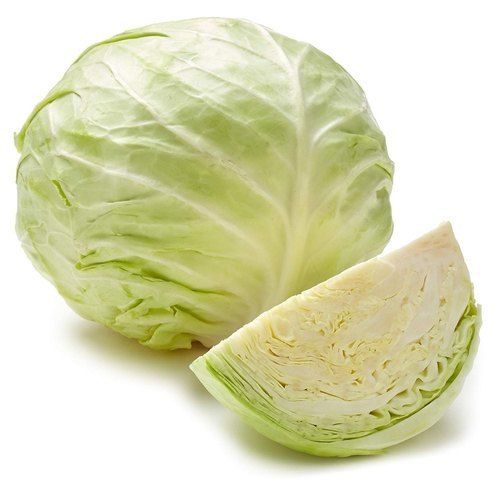Organic Fresh Cabbage for Vegetables With 3 Days Shelf Life, Rich in Vitamin K