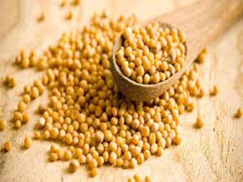 Purity 100 Percent Healthy Natural Rich Taste Yellow Sesame Seeds
