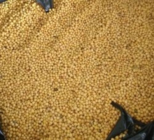 Purity 99 Percent Healthy Rich Natural Taste Pure Yellow Mustard Seeds