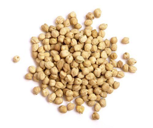 White In Color Fresh And Organic 99% Pure Chickpea Grain For Cooking