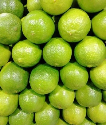 Easy To Digest Sour Natural Taste Healthy Green Fresh Lemon