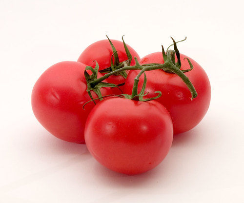 Fresh Red Tomato For Cooking Food With 3-4 Days Shelf Life