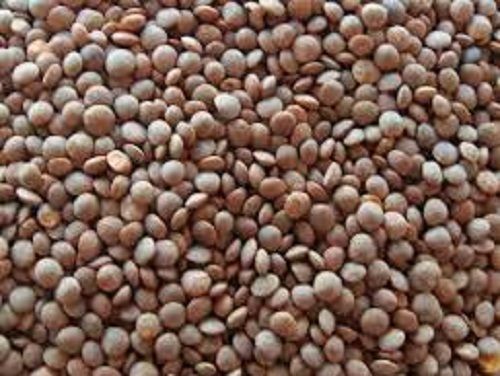 Rich Protein And Vitamin 100% Natural Pure Fresh And Organic Black Color Masoor Dal