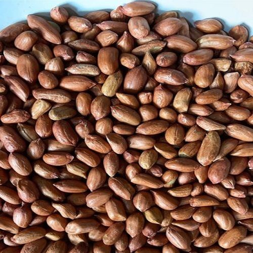 Rich Taste Good For Health Dried Peanuts For Cooking Namkeen And Oil Extraction