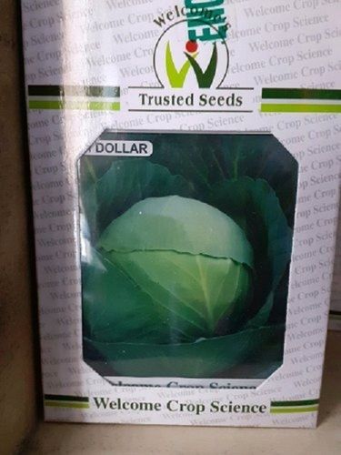 Trusted Vegetable Seeds For Grow Organic Vegetables Gardening Admixture (%): 100%