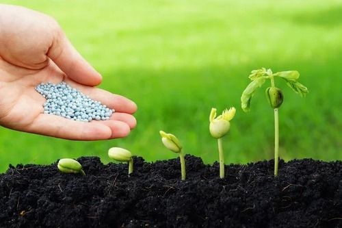 Bio Grade Crop Fertilizer For Fast Growing Plant(Agriculture)