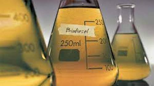 Biodiesel