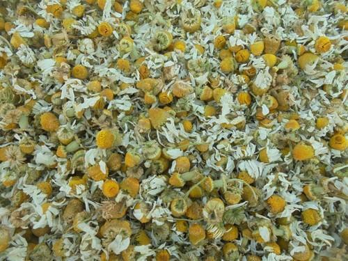 Yellow Excellent Fragrance Natural Dried Chamomile Flower For Many Human Ailments