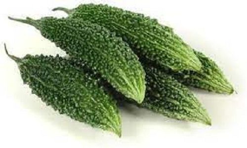 100 Percent Natural Pure And Organic Green Color Bitter Gourd, Reduce Blood Sugar