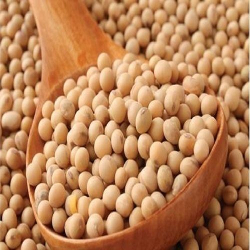 99 Percent Natural And Fresh Whole Good Source Of Dietary Fiber Soybean 