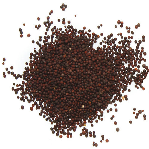 Brown Mustard Seeds, Packaging Size 25-50 Kg