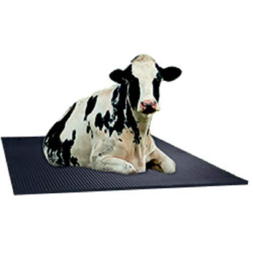 17 Mm Thickness Cow Mat Used In Dairy Farm Back Material: Anti-Slip Latex