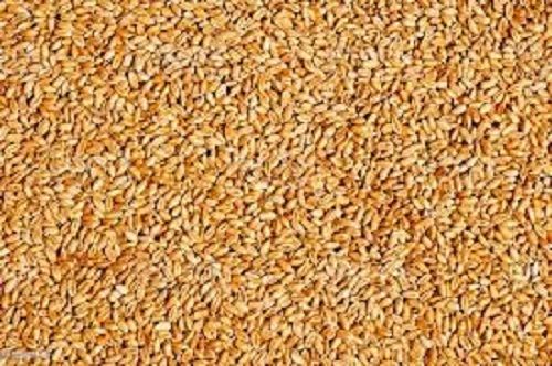 Grade A 100% Pure, Natural And Organic, Wheat Colour Brown In Bages, With Proteins 