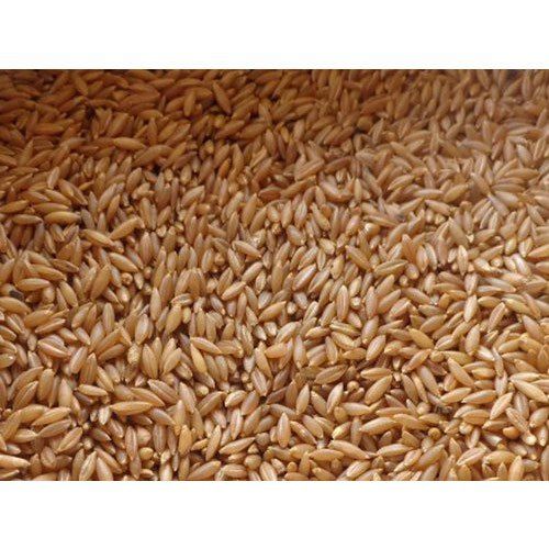 A-Grade Healthy Medium-Grain 100% Pure Organic Brown Bamboo Rice