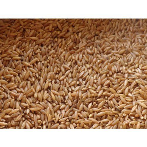 A-Grade Healthy Medium-Grain 100% Pure Organic Brown Bamboo Rice Origin: India