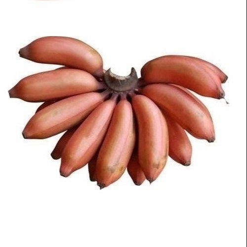 Farm Fresh Potassium, Magnesium, Copper Vitamins Minerals And Anti Oxidants Healthy Fresh Sweet Red Banana