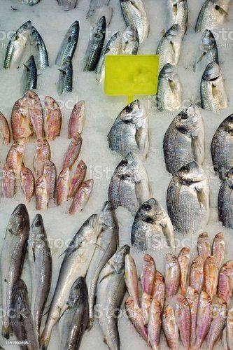 Fish With High Nutritious Value And Rich Taste