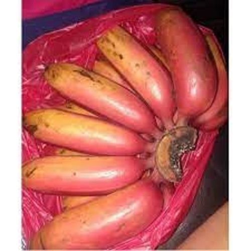 Good Source Of Potassium Magnesium Vitamin C Folate And Manganese Farm Fresh Sweet Red Banana