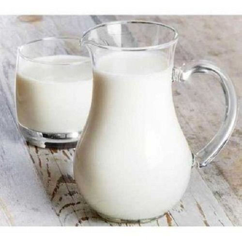 Rich In Protein And Probiotics Pure Organic And Fresh White Cow Milk