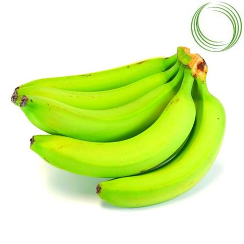 Rich In Vitamin C Dietary Fiber And Magnesium Fresh Green Sweet Banana