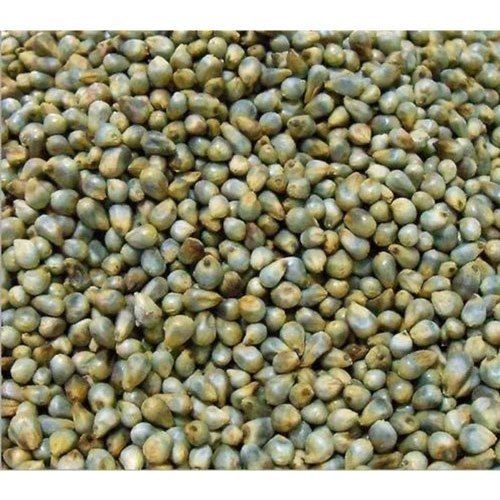 Rich In Vitamins And Minerals Potassium Enriched Green And Healthy Green Millet