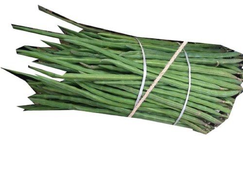 Rich Potassium Vitamins And Magnesium Enriched High In Dietary Fiber Green Fresh And Healthy Drumstick