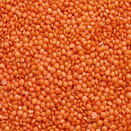 Rich Taste Healthy And Nutritious No Artificial Color Rich Aroma Orange Masoor Dal