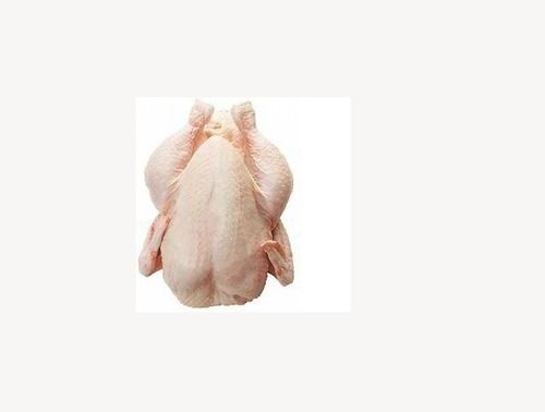  High Protein And Nutrition, Fresh Whole Uncut Chicken For Cooking, Restaurant, 2.5 Kg