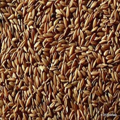 100% Pure Organic Nutrition Enriched Medium-Grain Brown Bamboo Rice