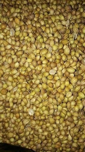 A Grade Pure Healthy 100% Organic Dried Whole Lite Yellow Coriander (Dhania)