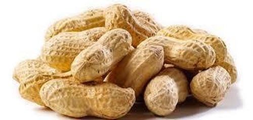 Good Source Of Protein And Fiber Antioxidants Rich In Nutrients Groundnut Grade: A