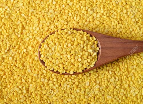 High in Protein, Yellow Round Pure And Organic Raw Moong Dal For Cooking