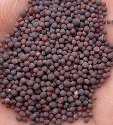 High Nutritional Value Natural Taste Healthy And Nutritious Fresh Organic Black Mustard Seeds