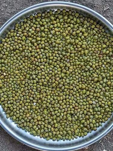 No Added Preservatives No Artificial Color Rich Aroma High In Proteins Organic Moong Dal