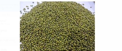 100% Fresh And Organic Green Color Sabut Moong Dal For Cooking, Easy To Digest