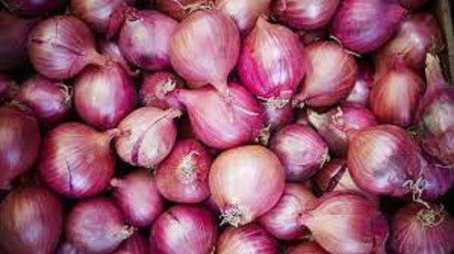 100 % Natural Organic Fresh Small Onion With Sweet Texture And Decrease The Cholesterol Level