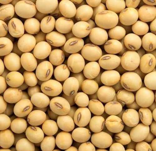 100 Percent Natural And Organic High- Protein Healthy Soya Bean 1 Kg 