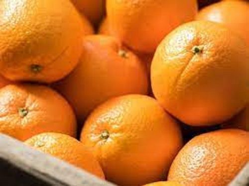 100 % Pure And Fresh Great Source Of Vitamin C Best Quality Orange With Sweet Tart Texture