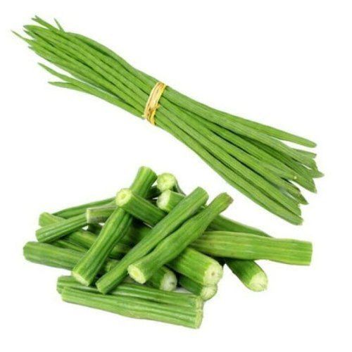 Easy To Digest Rich In Vitamins And Protein Enriched Green Fresh Organic Drumstick